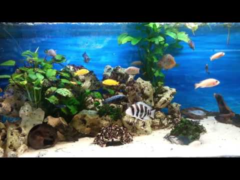 Lostweb - TiNa HeXe REMIX